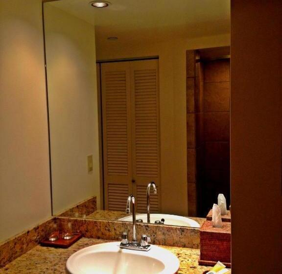 スタンダードルーム, The Equus