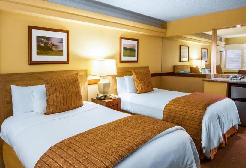 デラックスルーム, The Equus