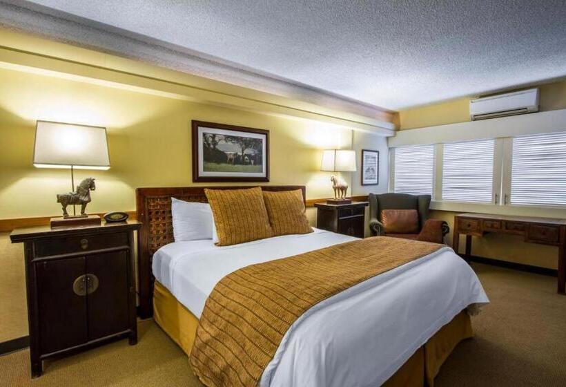 キングサイズベッドのエクゼクティブルーム, The Equus