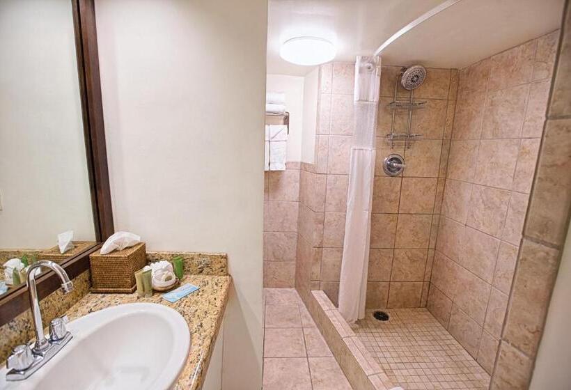 スイート, The Equus