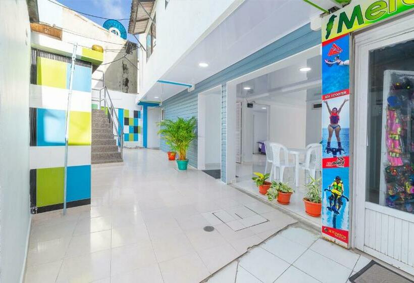 四人标准间, La Isla Inn