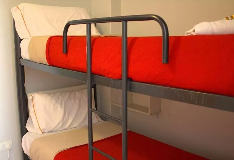 تختخواب در اتاق مشترک, Hostel Suites Florida