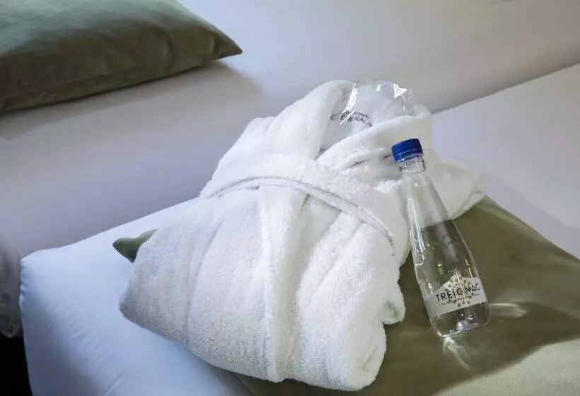 اتاق خانوادگی, Best Western Plus Hotel De La Regate Erdre