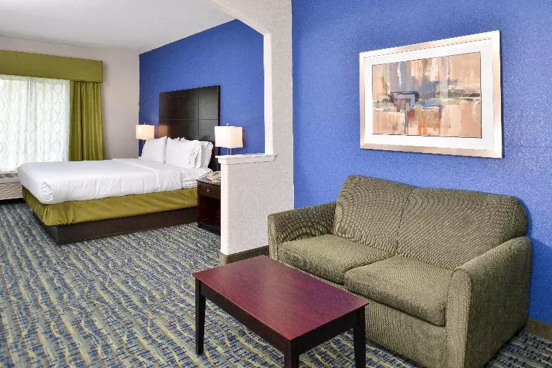 اتاق اجرایی با تخت بزرگ, Holiday Inn Express Hotel & Suites San Antonio By Ihg