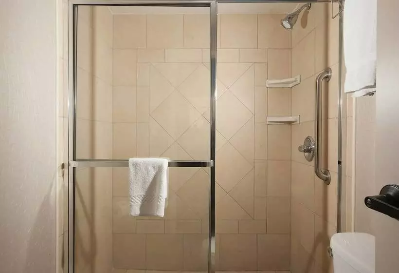 スイート, Springhill Suites Orlando Airport