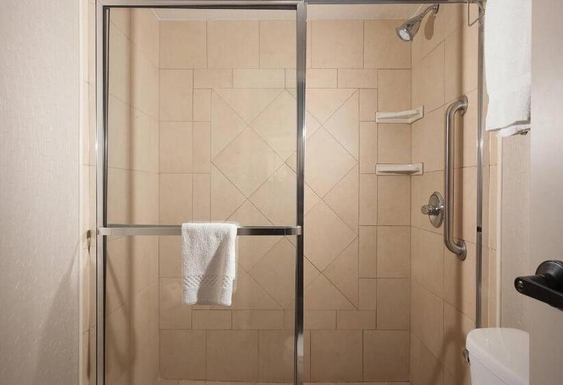Люкс Кровать Кинг, Springhill Suites Orlando Airport