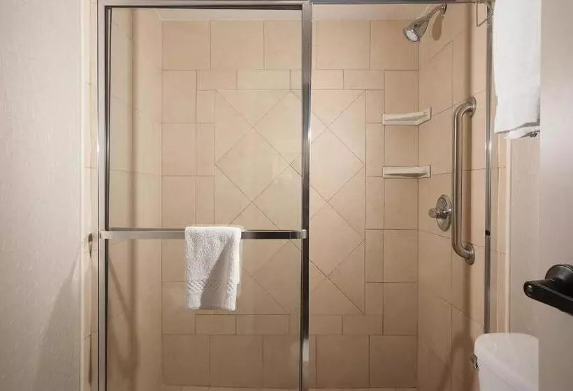 キングサイズベッドのスイートルーム, Springhill Suites Orlando Airport
