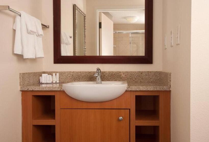 带大床的套房, Springhill Suites Orlando Airport