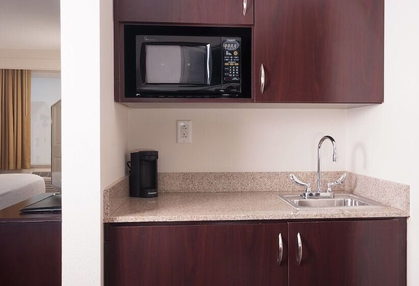 适合残疾人士使用的套间, Springhill Suites Orlando Airport