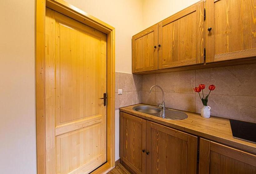 شقة غرفة واحدة مزودة بتراس, Hygge Praid