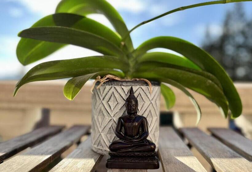 수피리어 룸, Villa Mathis