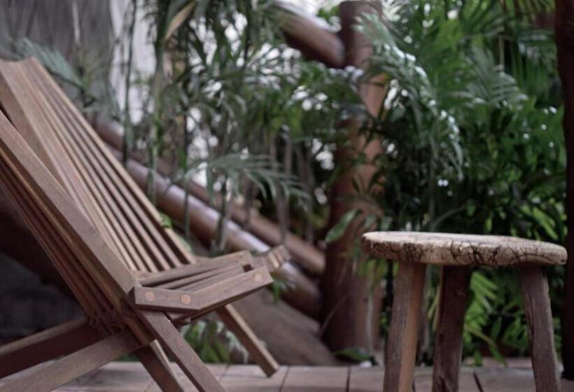 标准房带园景, Casa Hormiga