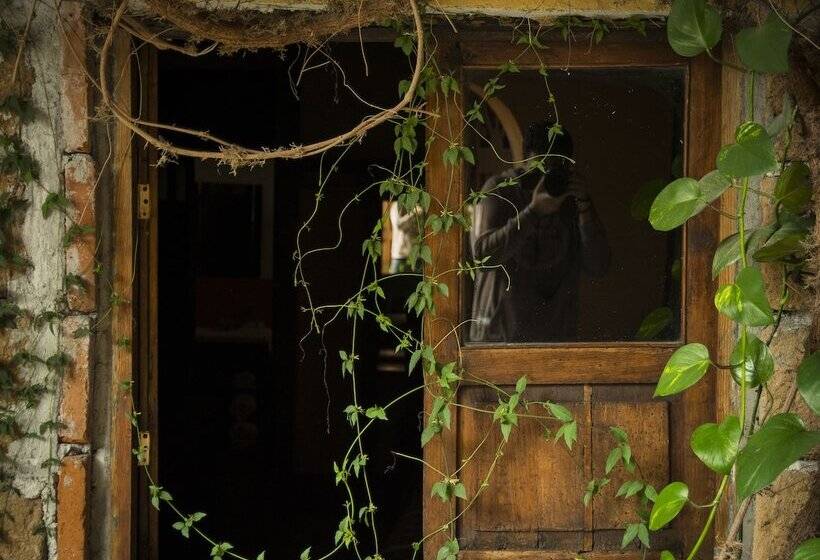 חדר משפחתי, Casamia