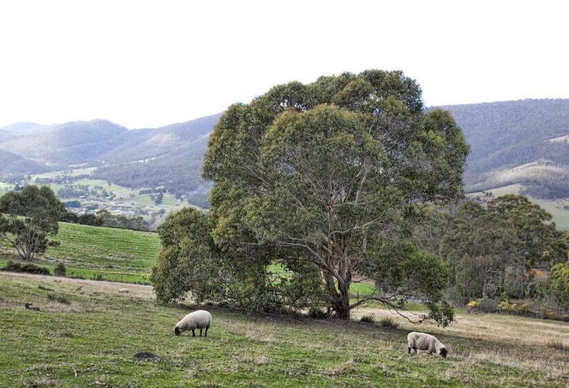 جناح, House On The Hill Bed And Breakfast