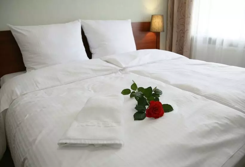 Standard Kolmen Hengen Huone, Aparthotel Globus Kraków