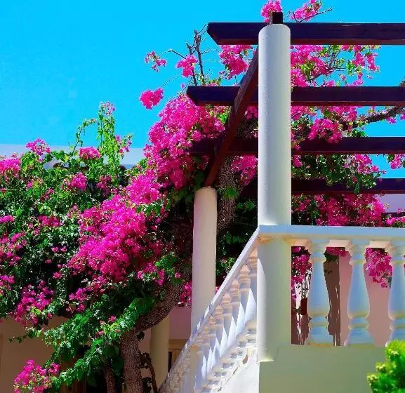 استودیوی استاندارد, Elotis Suites