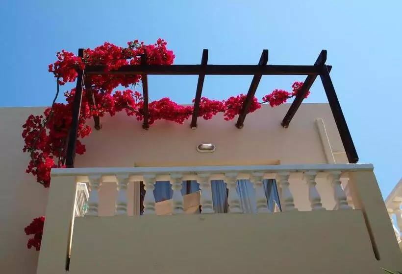 آپارتمان 1 خوابه, Elotis Suites