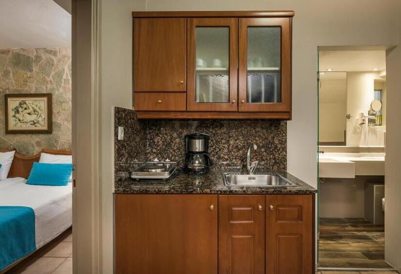 Апартаменты 1 Спальня, Elotis Suites