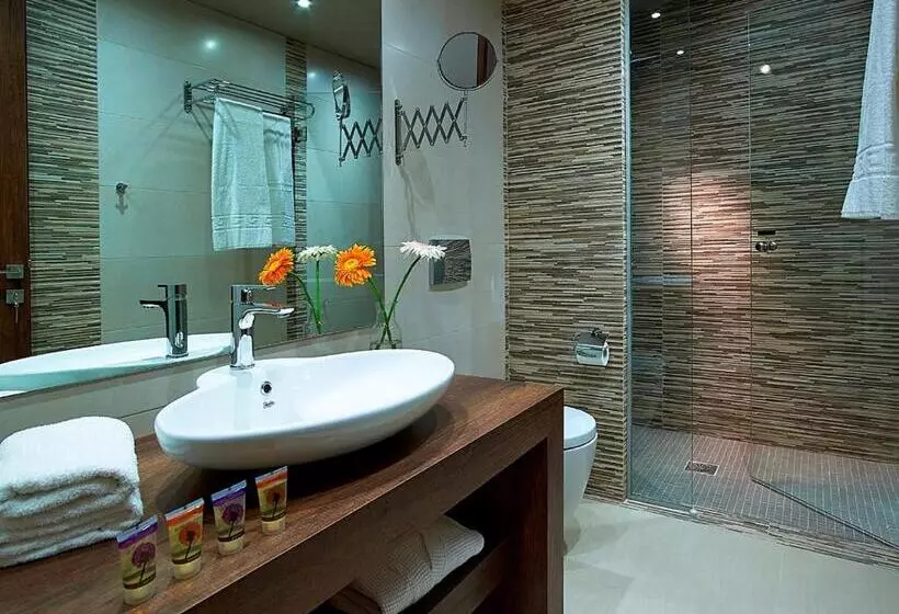 اتاق سوپریور با بالکن, Elotis Suites
