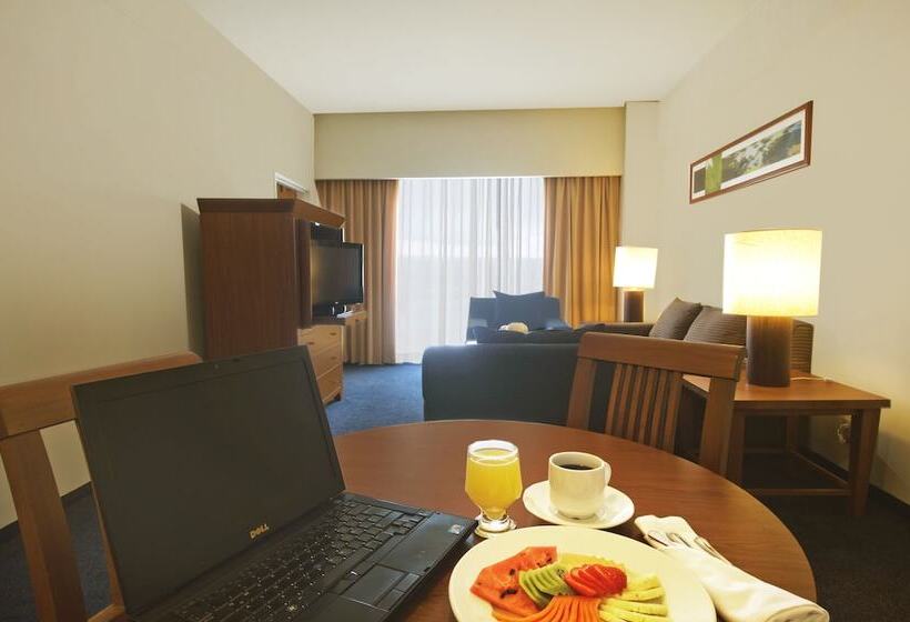 סוויטת ג'וניור, Fiesta Inn Mexicali