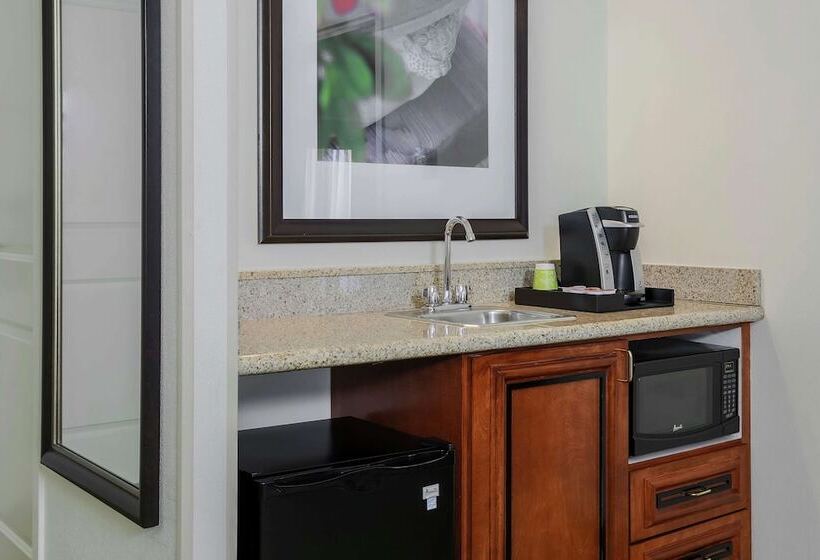 Люкс Кровать Кинг, Hilton Garden Inn Chicago/midway Airport