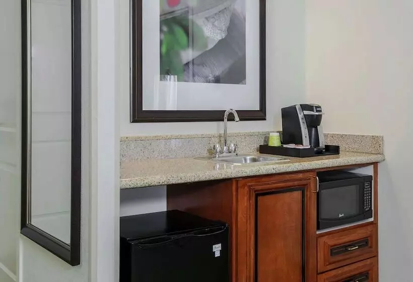 سوئیت با تخت بزرگ, Hilton Garden Inn Chicago/midway Airport