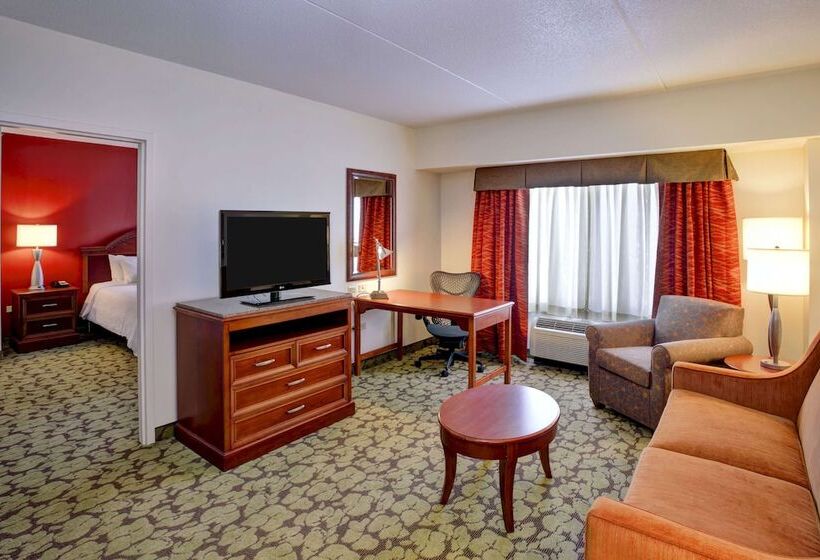 Suite Kingsize Bett, Hilton Garden Inn Chicago/midway Airport