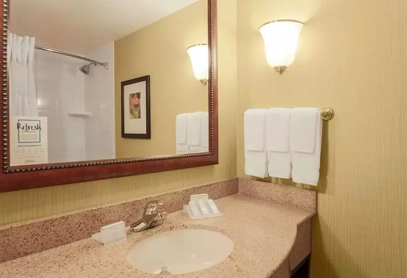 اتاق پرمیوم, Hilton Garden Inn Chicago/midway Airport