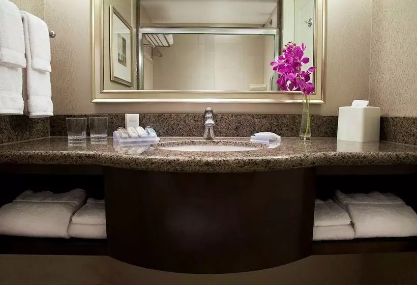 اتاق استاندارد با تخت دوبل برای معلولان, Revery Toronto Downtown, Curio Collection By Hilton