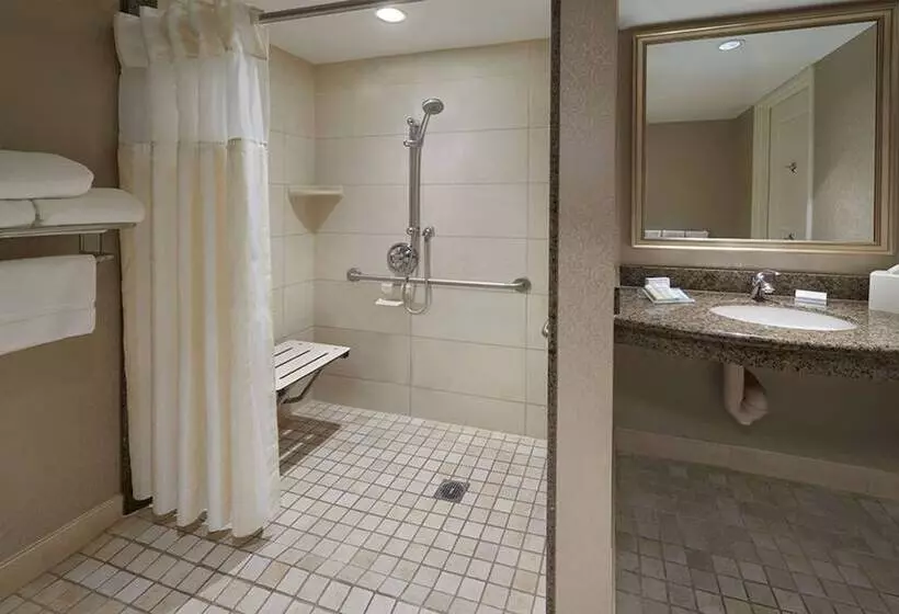 اتاق استاندارد با تخت دوبل برای معلولان, Revery Toronto Downtown, Curio Collection By Hilton