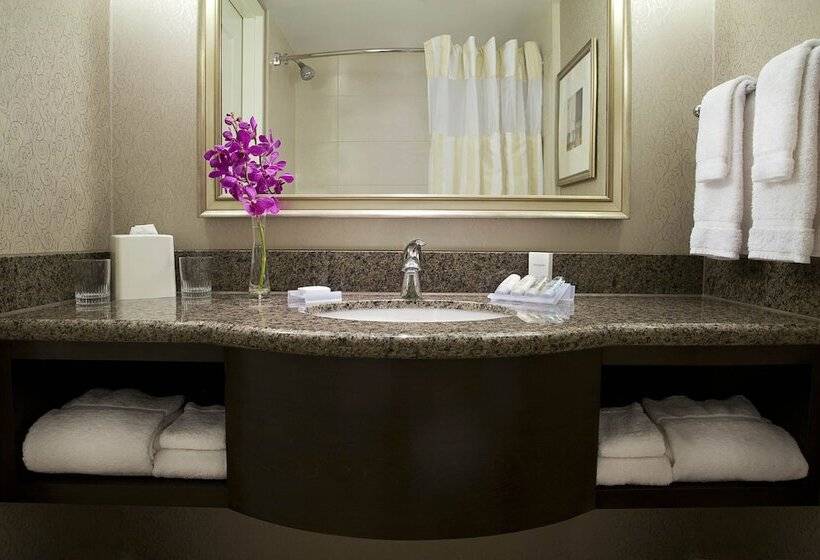 身障者適用ダブルベッド付きスタンダードルーム, Revery Toronto Downtown, Curio Collection By Hilton