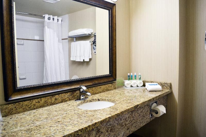 キングサイズベッドのスタンダードルーム, Holiday Inn Express Hotel & Suites Edson, An Ihg