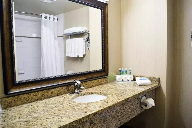 キングサイズベッドのスタンダードルーム, Holiday Inn Express Hotel & Suites Edson, An Ihg