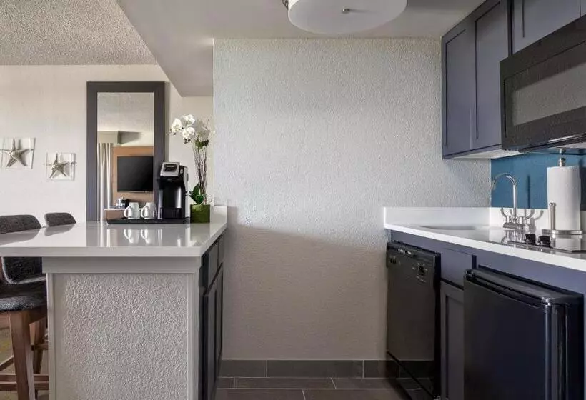 キングサイドベッドのスタンダードワンルーム, Marriott Hutchinson Island Beach Resort, Golf & Marina