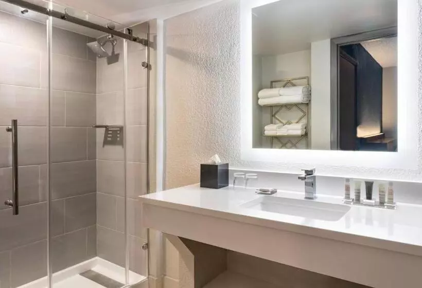 １ベッドルームアパートメント, Marriott Hutchinson Island Beach Resort, Golf & Marina