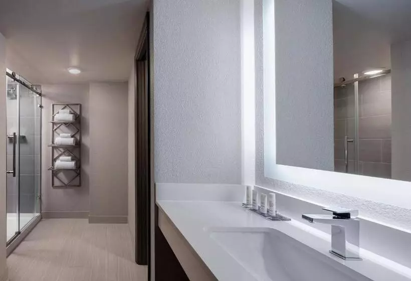１ベッドルームプレミアムアパートメント, Marriott Hutchinson Island Beach Resort, Golf & Marina