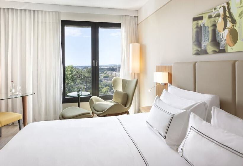 اتاق استاندارد با چشم‌انداز شهر, Melia Luxembourg