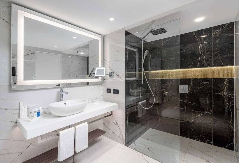 اتاق اجرایی, Radisson Blu Hotel Bucharest