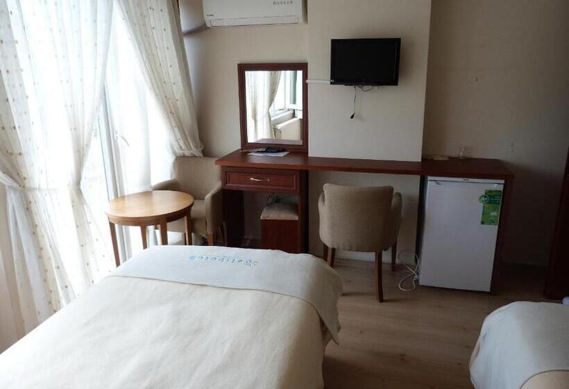 Номер Стандарт, Gelibolu