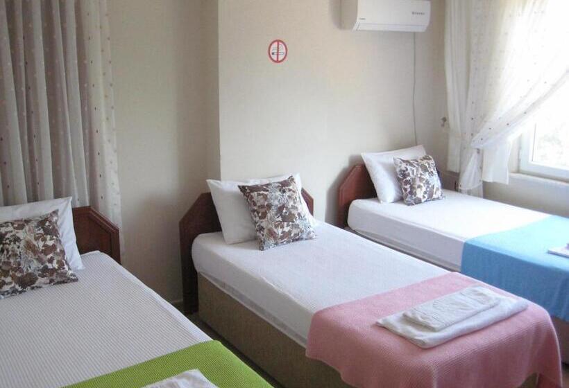Номер Стандарт Трехместный, Gelibolu