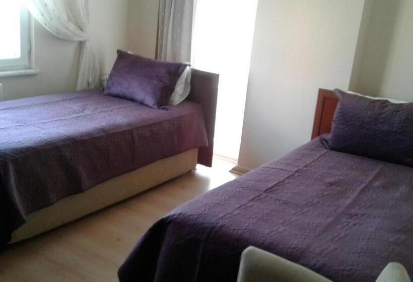 Номер Стандарт, Gelibolu