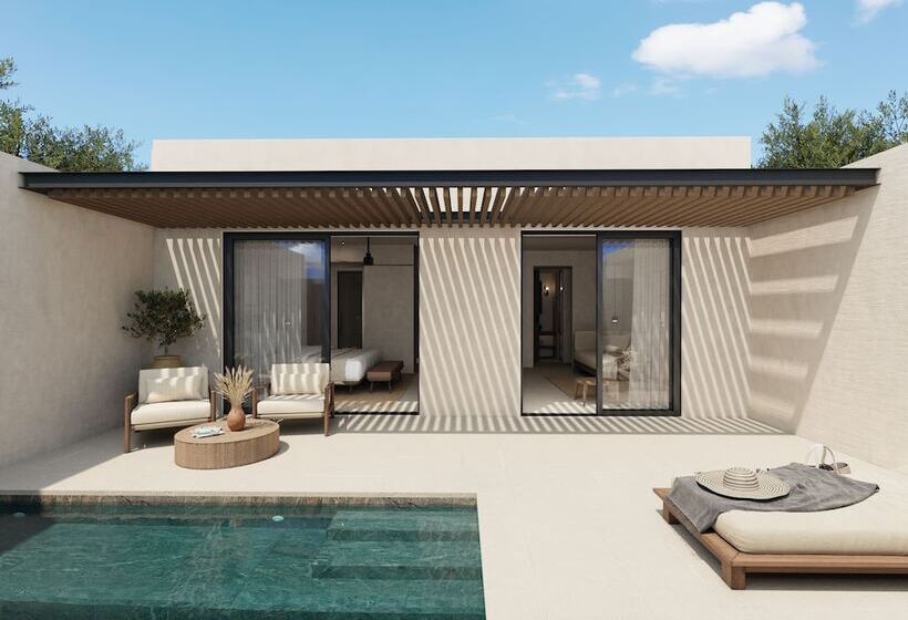 Люкс Премиум, The Olivar Suites