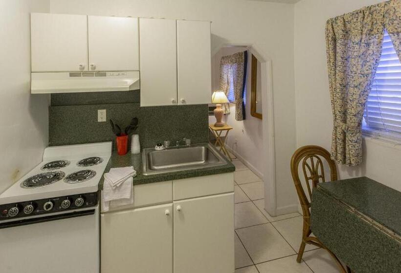 إستوديو قياسى, Richard S Motel Extended Stay