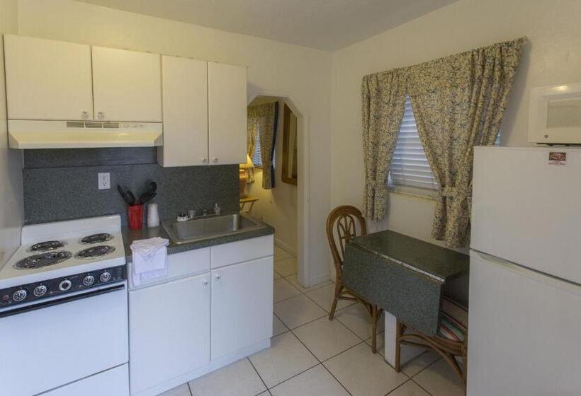 إستوديو قياسى, Richard S Motel Extended Stay