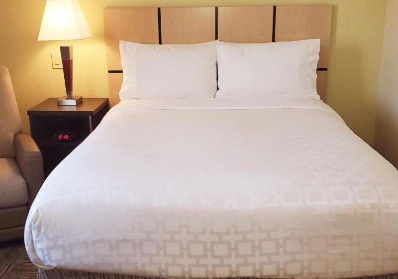 스탠다드 스튜디오, Candlewood Suites Houston Medical Center, An Ihg