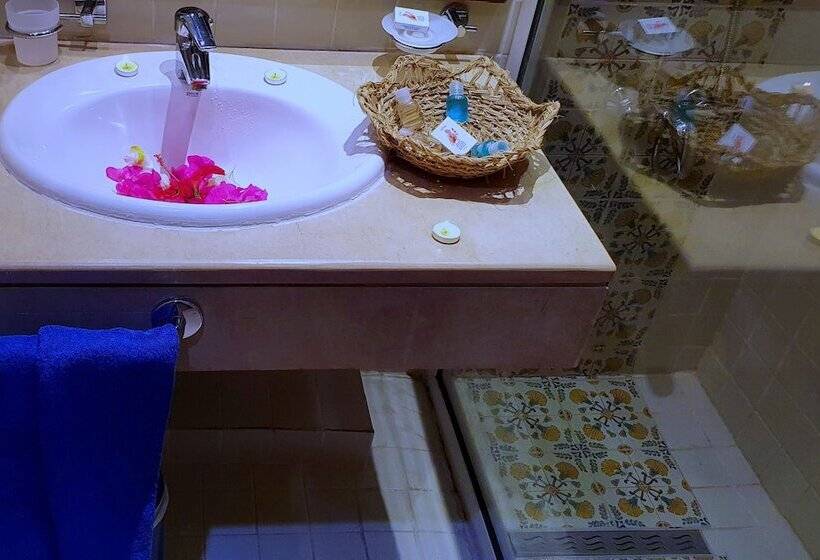 غرفة قياسية, De Charme Et Spa Dar El Bhar