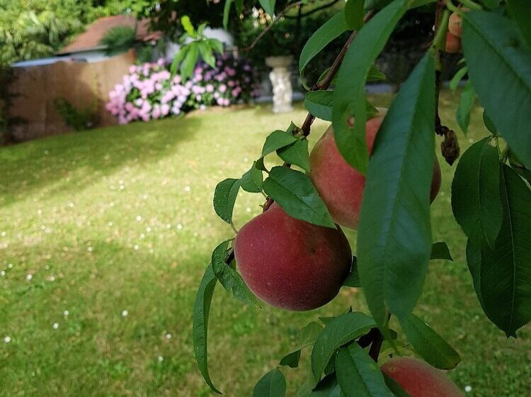 スタンダードルーム, Hostellerie Du Parc