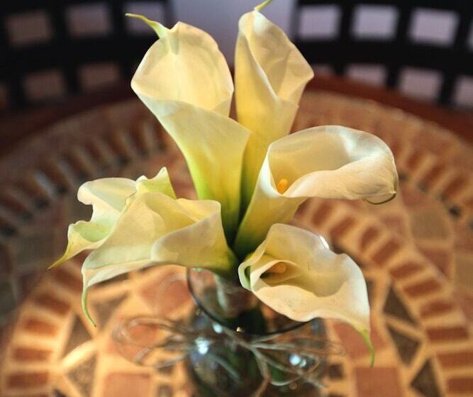 סוויטת ג'וניור, Lunata 5th. Avenue