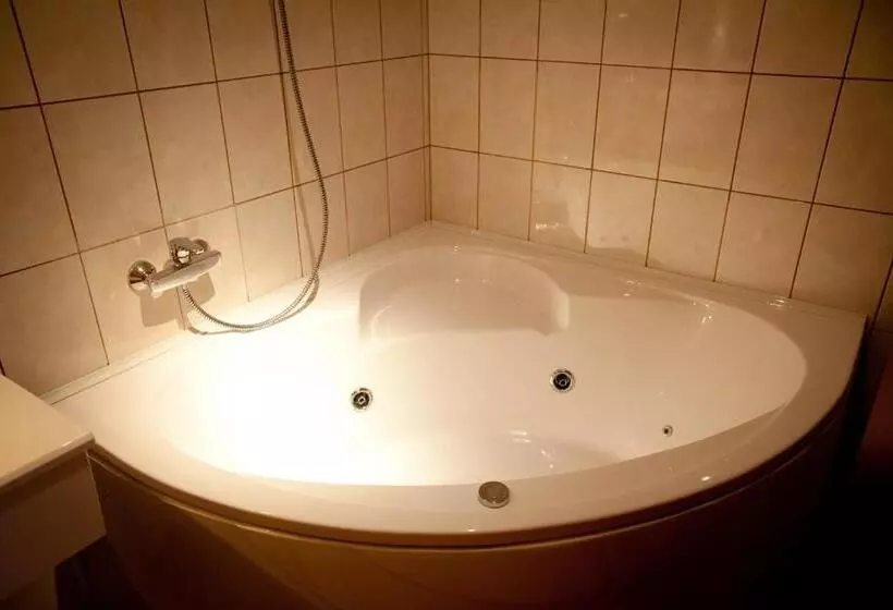 Apartament Superior 1 Sypialnia, Maxim