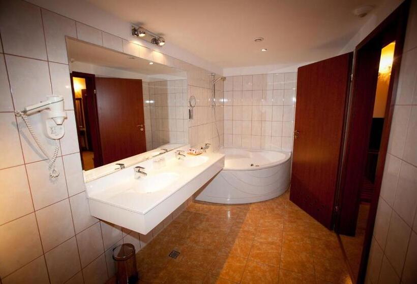 Апартаменты Superior 1 Спальня, Maxim